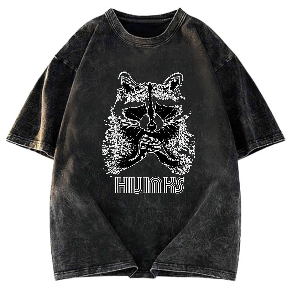 Tokyosol Raccoon Hijinks Washed T Shirt