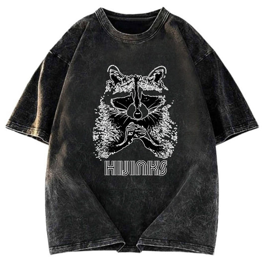 Tokyosol Raccoon Hijinks Washed T Shirt