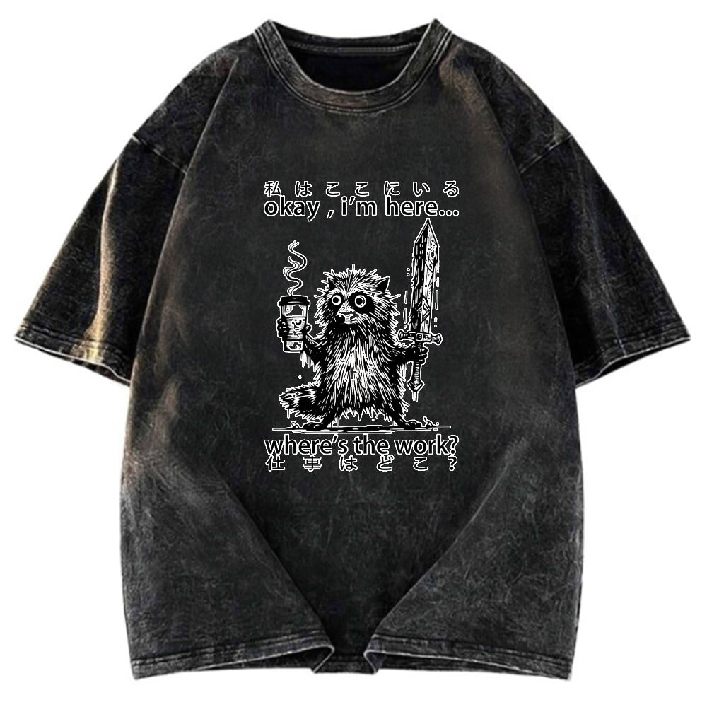Tokyosol Raccoon Ready To Work Washed T Shirt