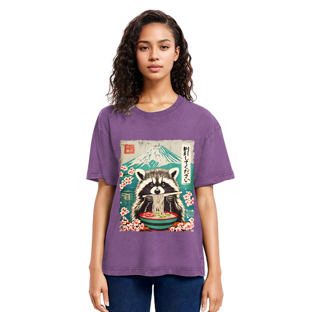 Tokyosol Please Give Raccoon A Discount Classic T Shirt
