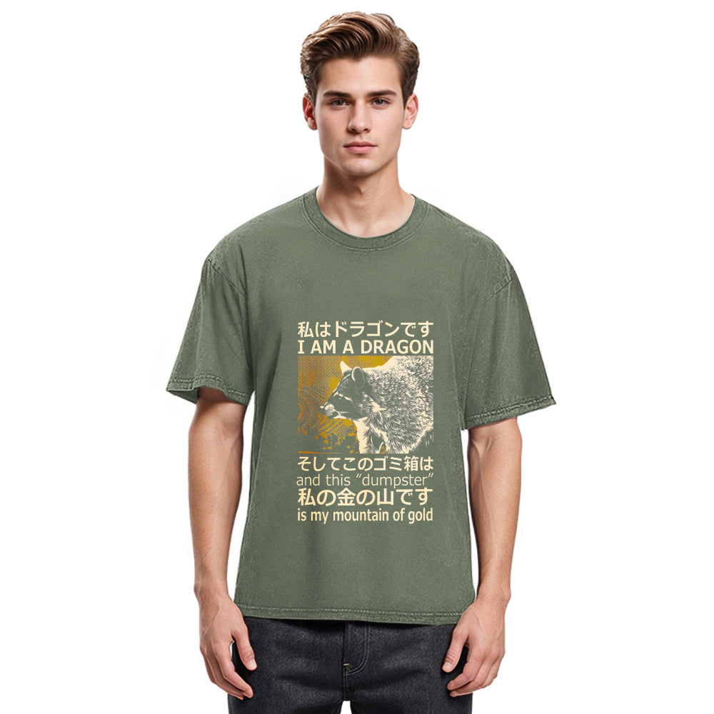 Tokyosol I Am A Dragon And This Dumpster Is My Mountain Of Gold Back Washed T Shirt