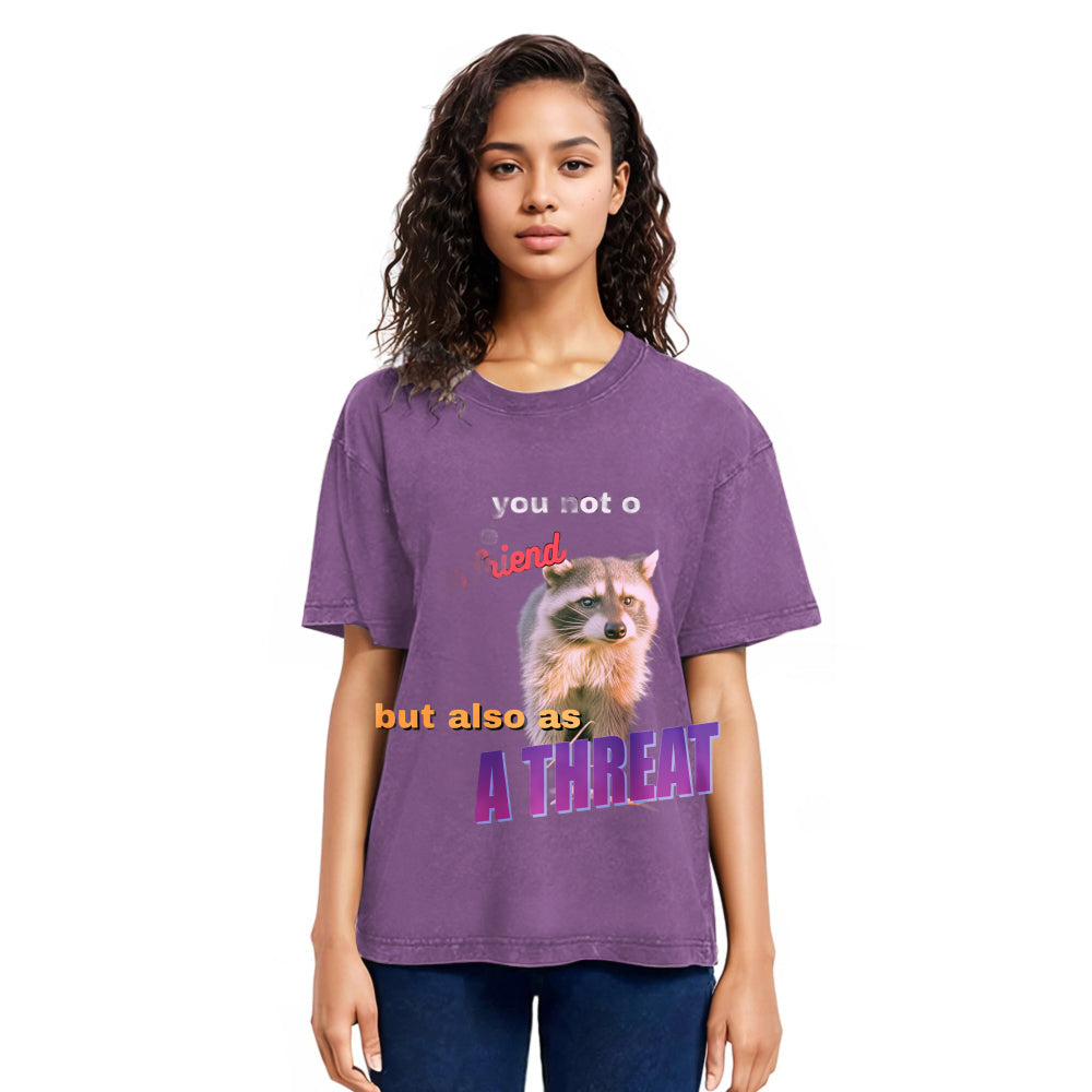 Tokyosol Viral Raccoon Meme Washed T Shirt