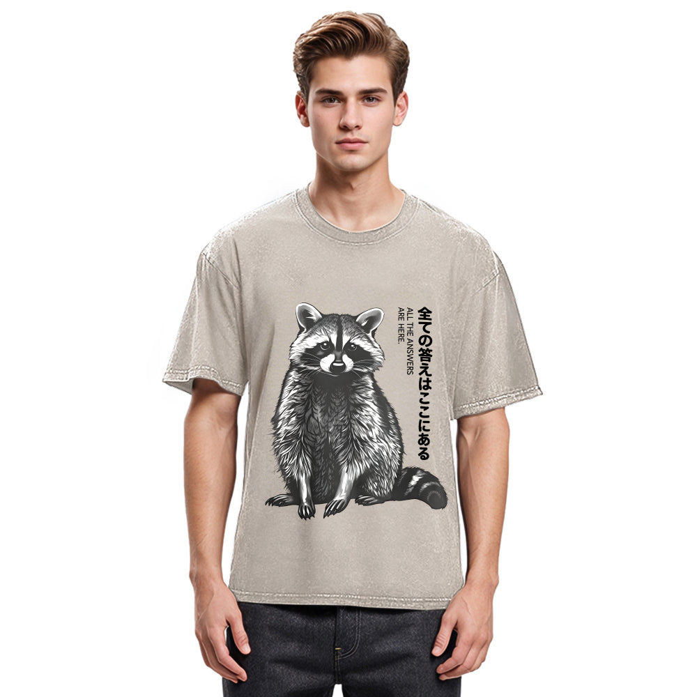 Tokyosol Funny Kawaii Raccoon Washed T Shirt