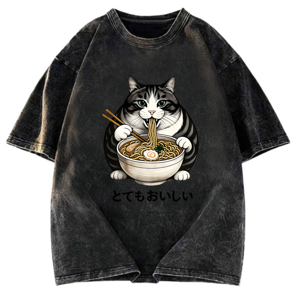 Tokyosol Fat Cat Eating Delicious Ramen Washed T Shirt