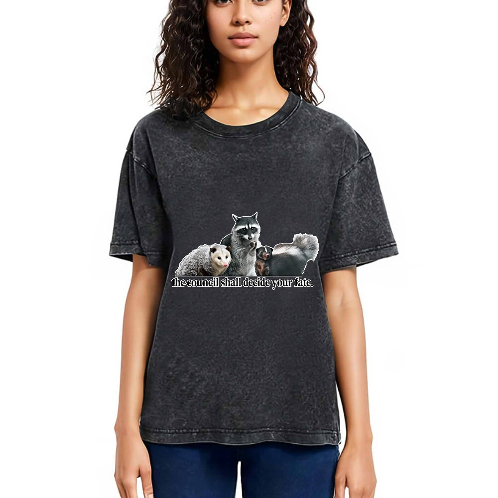 Tokyosol The Council Shall Decide Your Fate Washed T Shirt