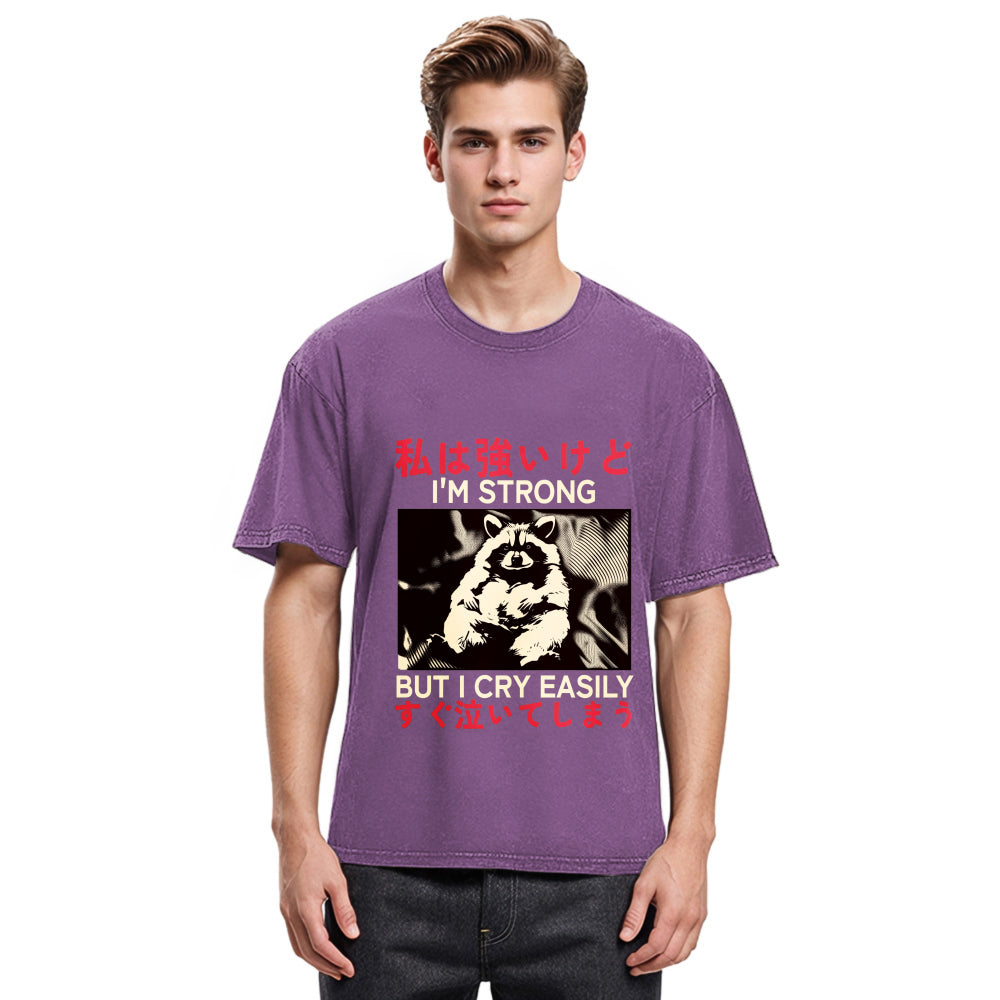 Tokyosol Littlespring I Am Strong Raccoon Washed T Shirt