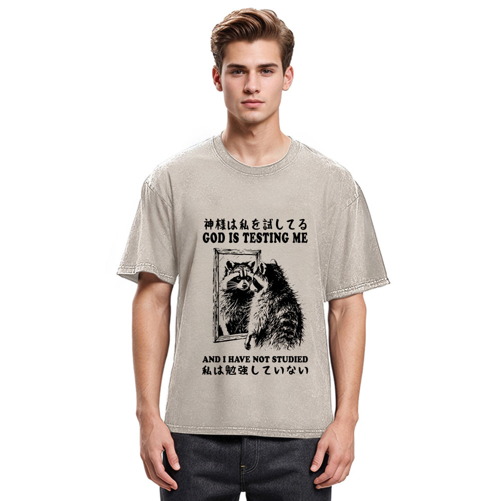 Tokyosol Raccoon Not Studied Washed T Shirt