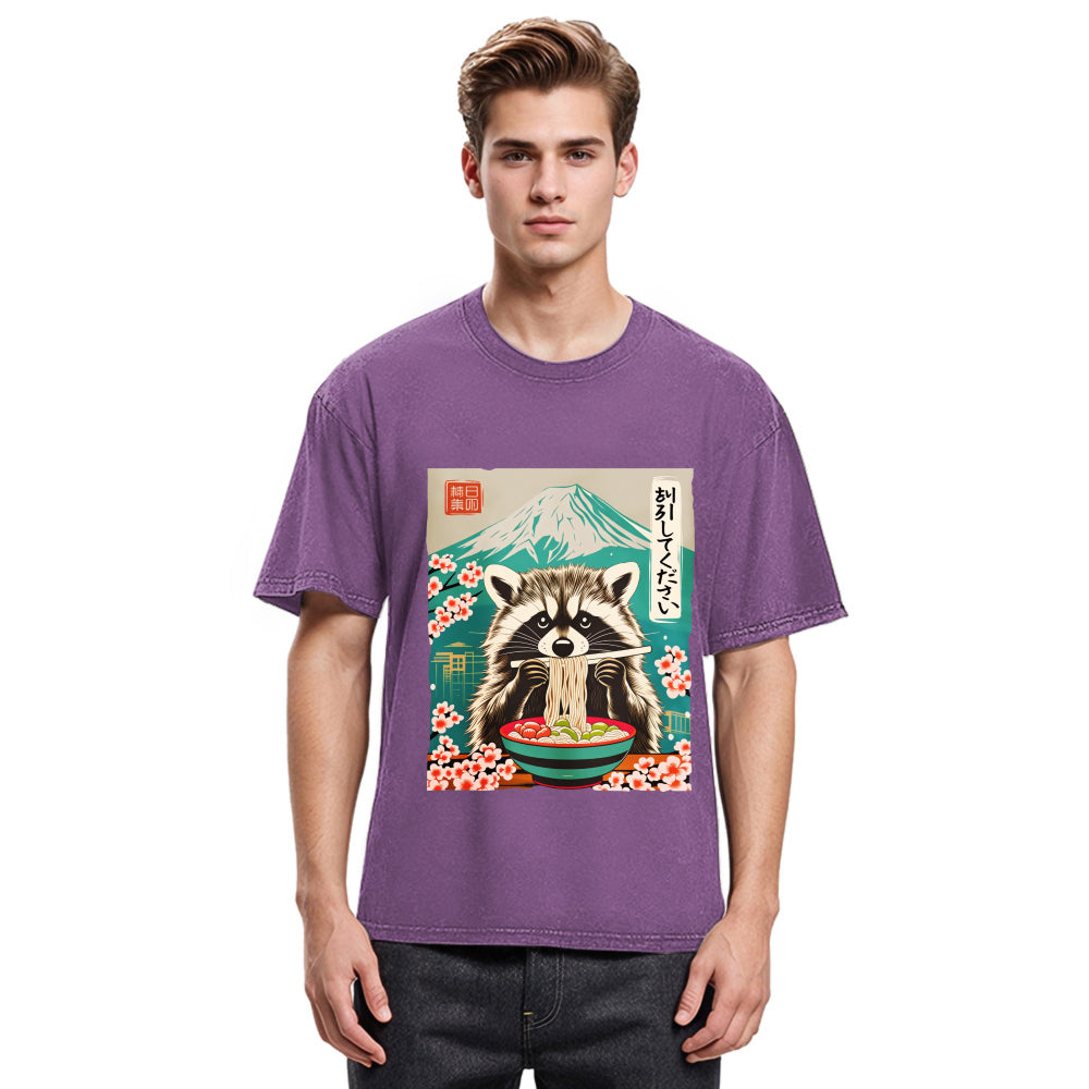 Tokyosol Please Give Raccoon A Discount Washed T Shirt