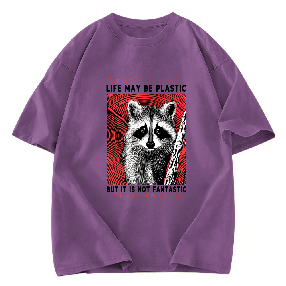 Tokyosol Raccoon Vintage Japanese Washed T Shirt