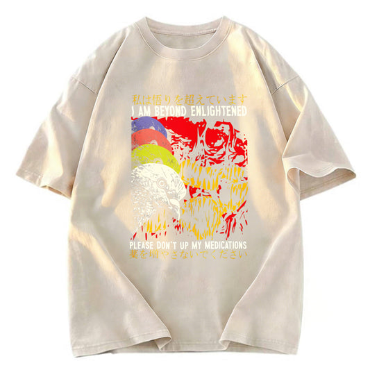 Tokyosol Beyond Enlightened Vintage Pigeon Washed T Shirt