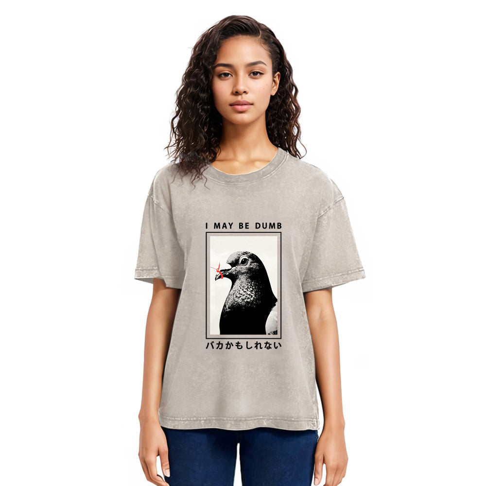 Tokyosol I May Be Dumb Funny Washed T Shirt