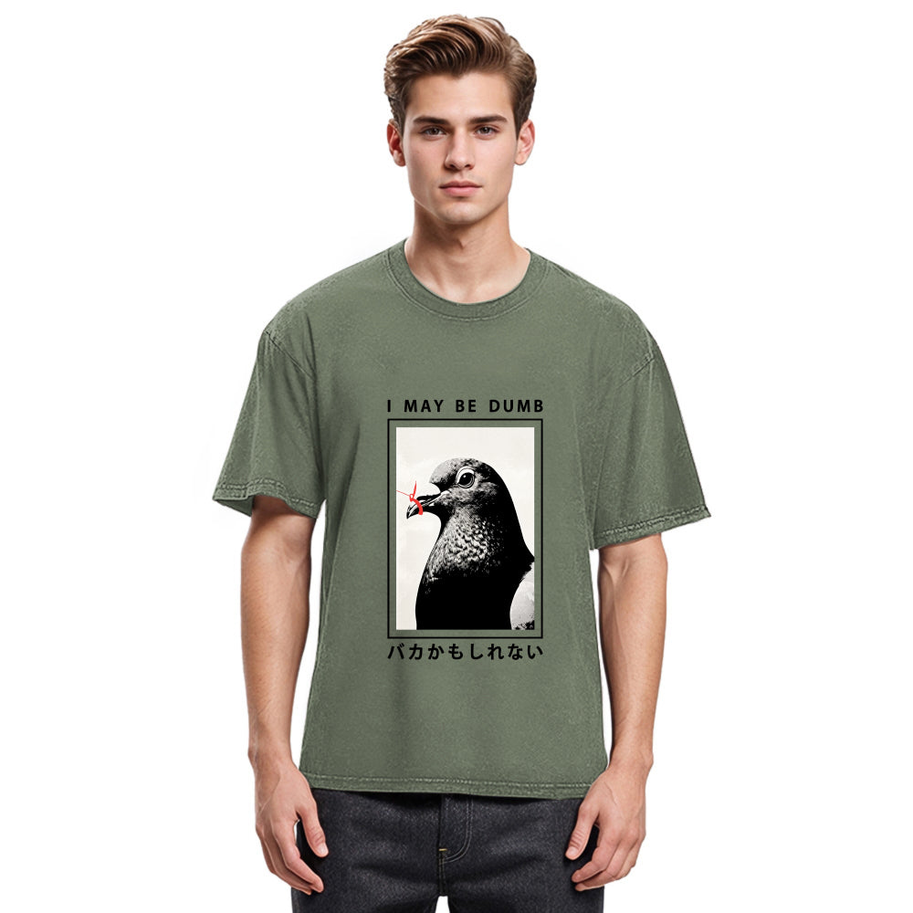 Tokyosol I May Be Dumb Funny Washed T Shirt