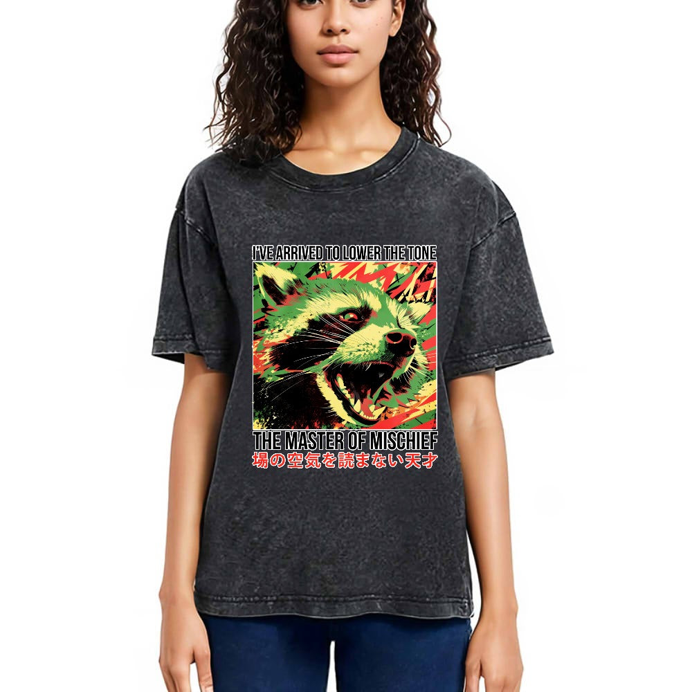 Tokyosol I Ve Arrived To Lower The Tone Washed T Shirt