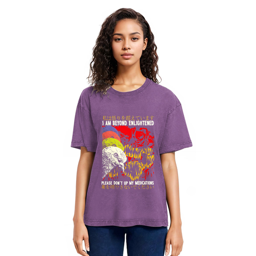 Tokyosol Beyond Enlightened Vintage Pigeon Washed T Shirt