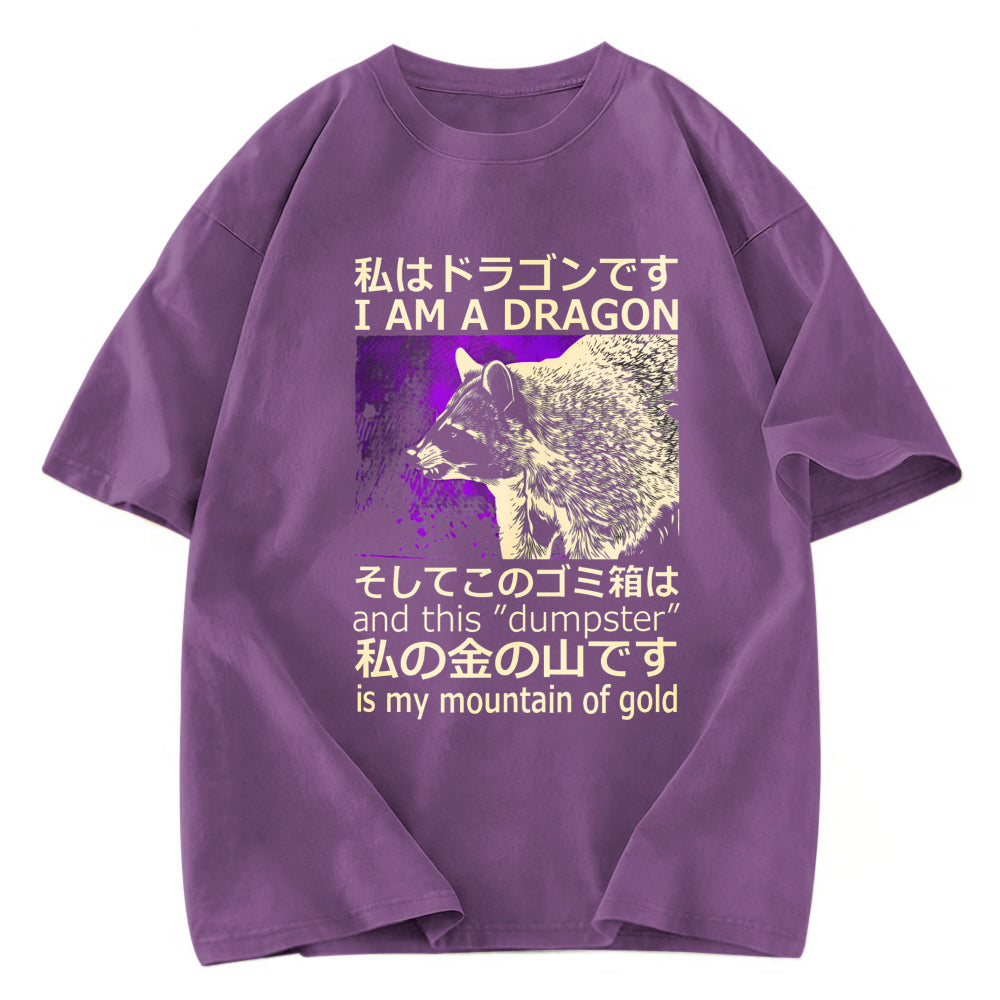 Tokyosol I Am A Dragon And This Dumpster Is My Mountain Of Gold Washed T Shirt