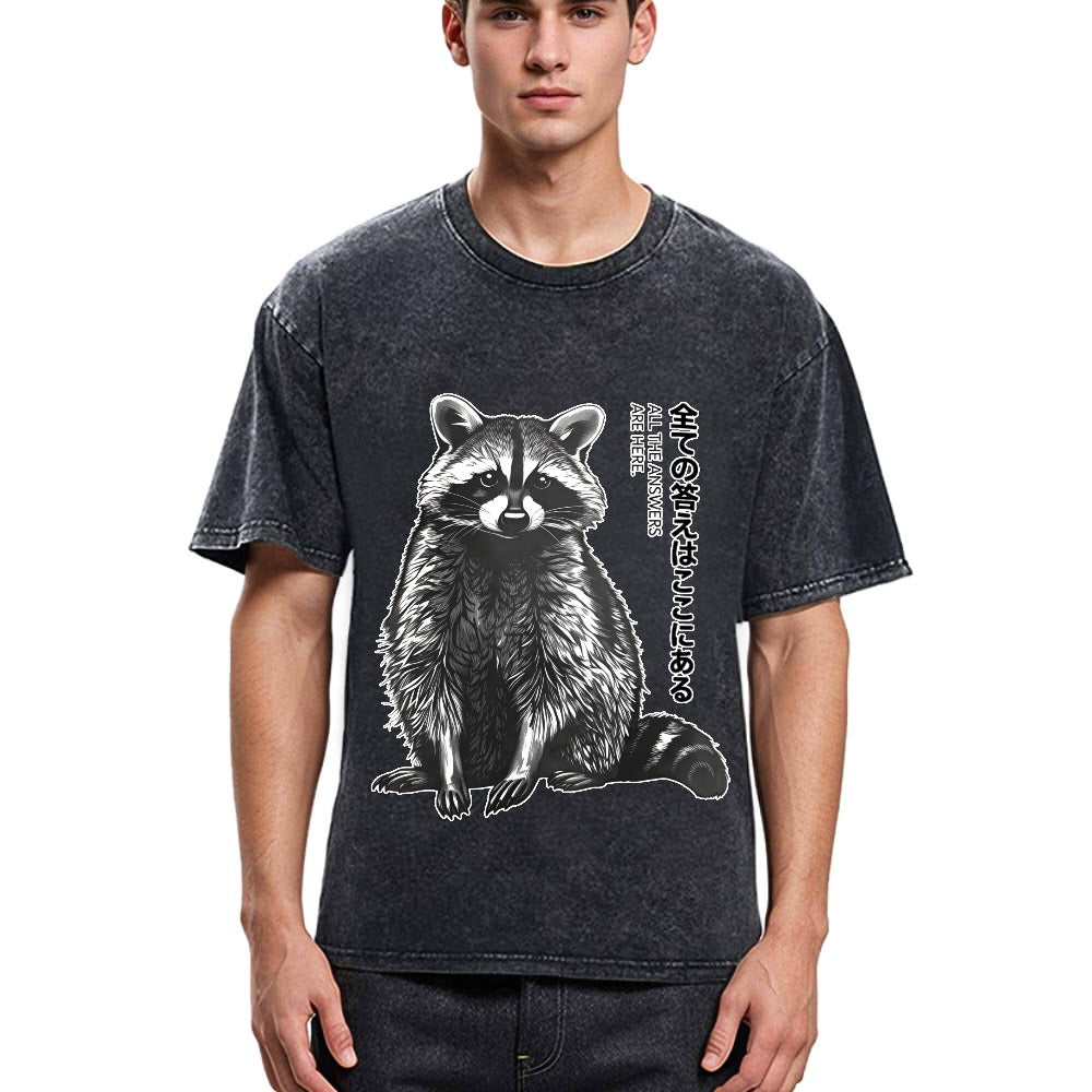 Tokyosol Funny Kawaii Raccoon Washed T Shirt