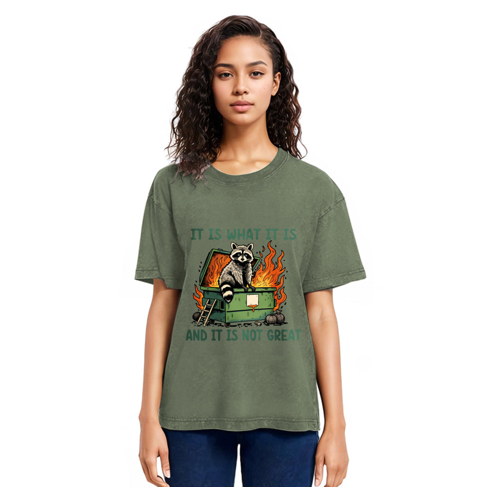 Tokyosol It Is What It Is Dumpster Fire Funny Raccoon Meme Washed T Shirt
