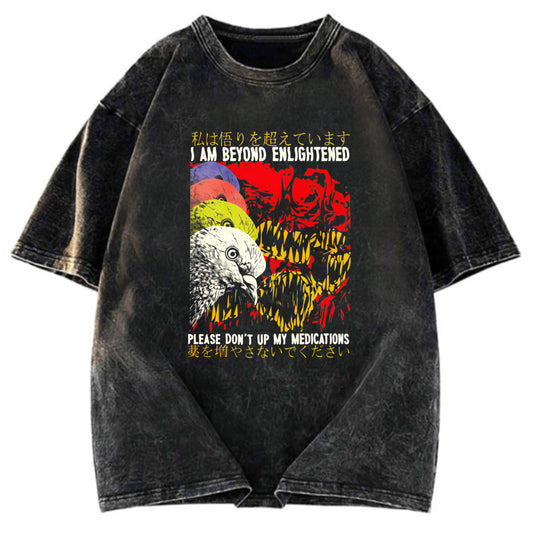 Tokyosol Beyond Enlightened Vintage Pigeon Washed T Shirt