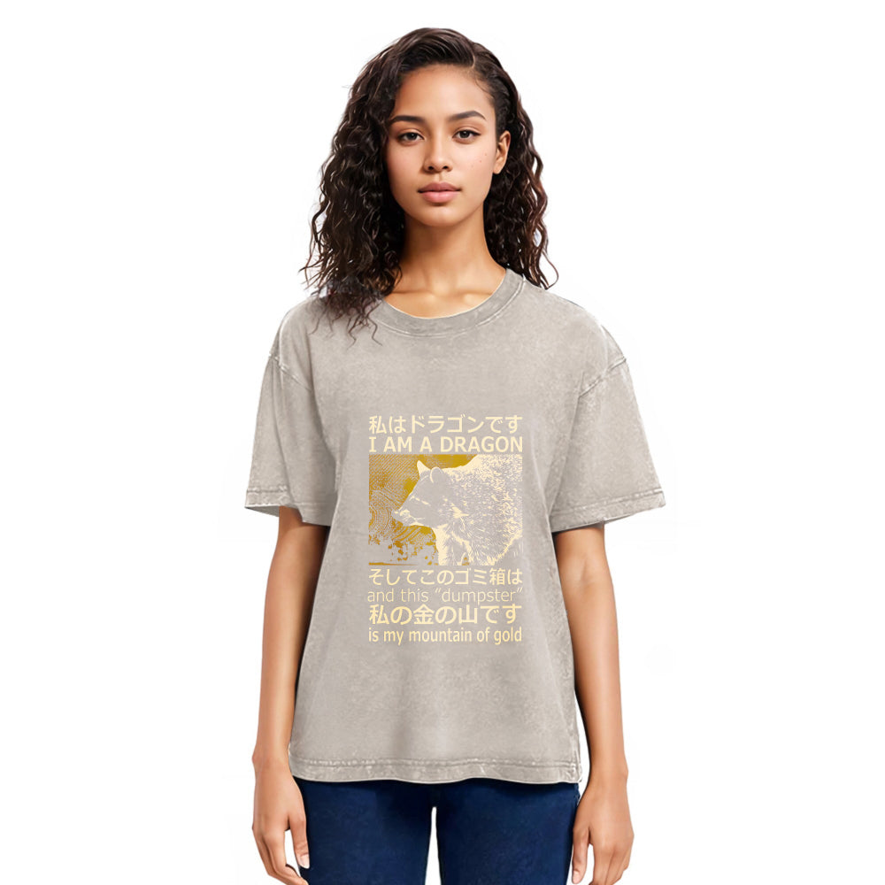 Tokyosol I Am A Dragon And This Dumpster Is My Mountain Of Gold Back Washed T Shirt