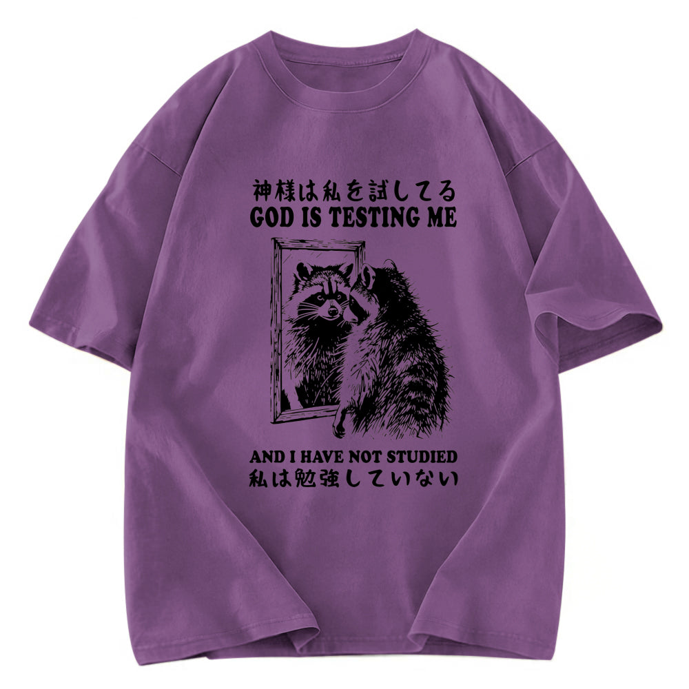 Tokyosol Raccoon Not Studied Washed T Shirt