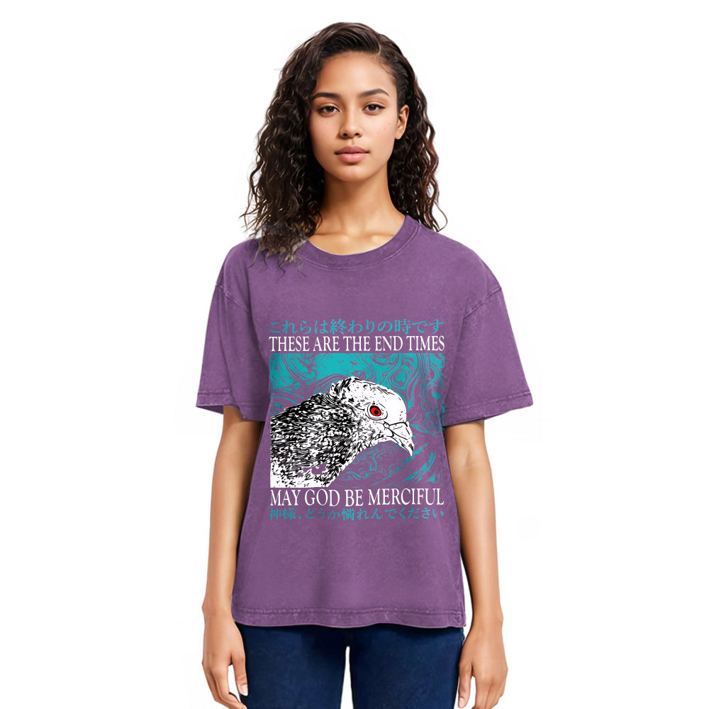 Tokyosol End Times Pigeon Vintage Washed T Shirt