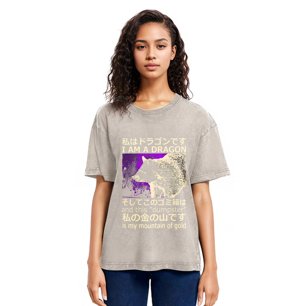 Tokyosol I Am A Dragon And This Dumpster Is My Mountain Of Gold Washed T Shirt