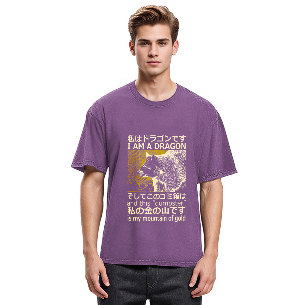 Tokyosol I Am A Dragon And This Dumpster Is My Mountain Of Gold Back Washed T Shirt