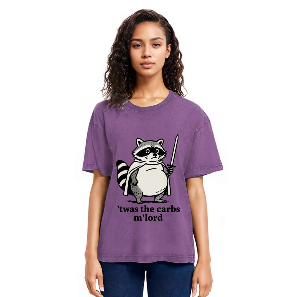 Tokyosol Fat Raccoon Sword Humor Washed T Shirt