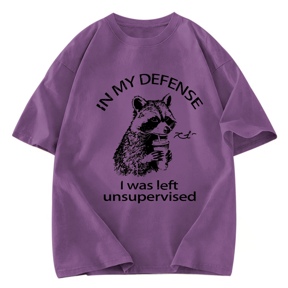 Tokyosol Left Unsupervised Raccoon Washed T Shirt