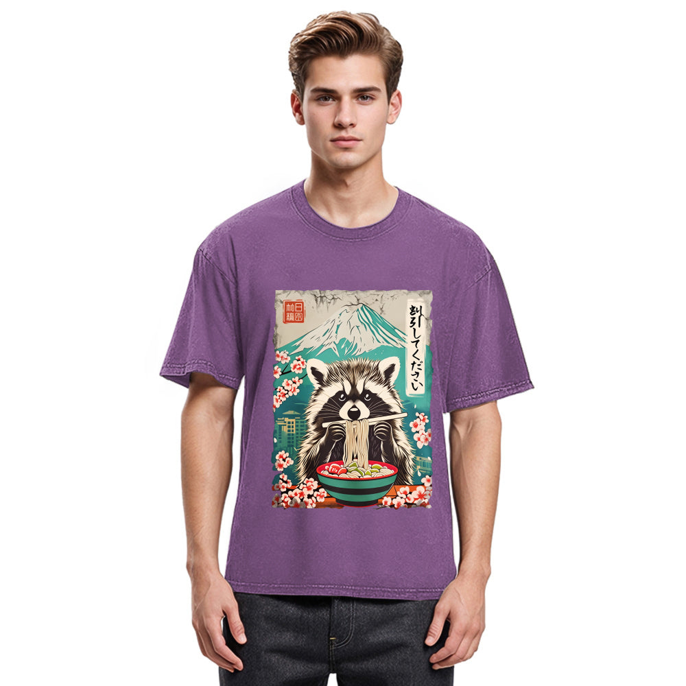 Tokyosol Please Give Raccoon A Discount Back Washed T Shirt