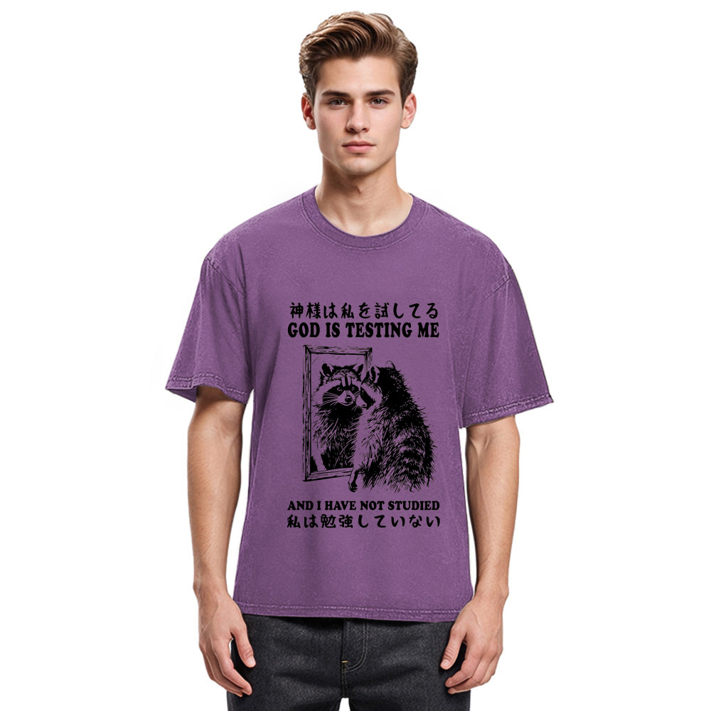 Tokyosol Raccoon Not Studied Washed T Shirt