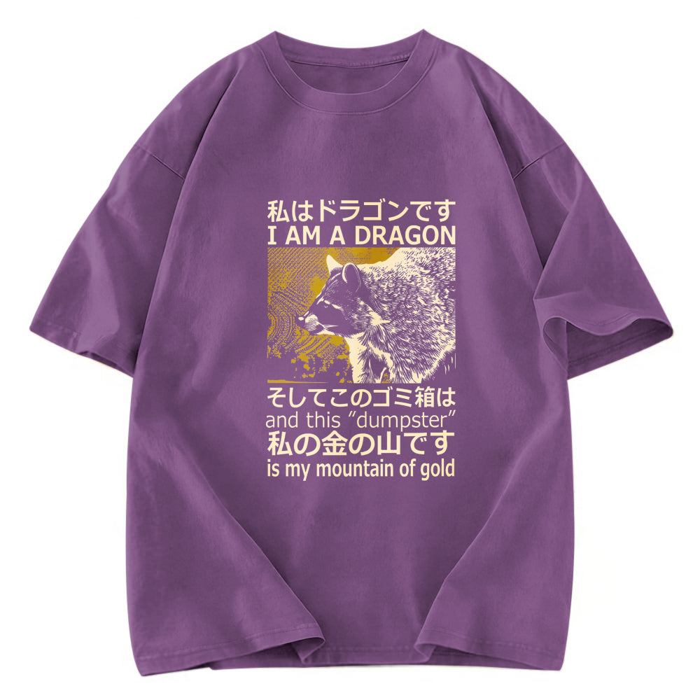 Tokyosol I Am A Dragon And This Dumpster Is My Mountain Of Gold Back Washed T Shirt