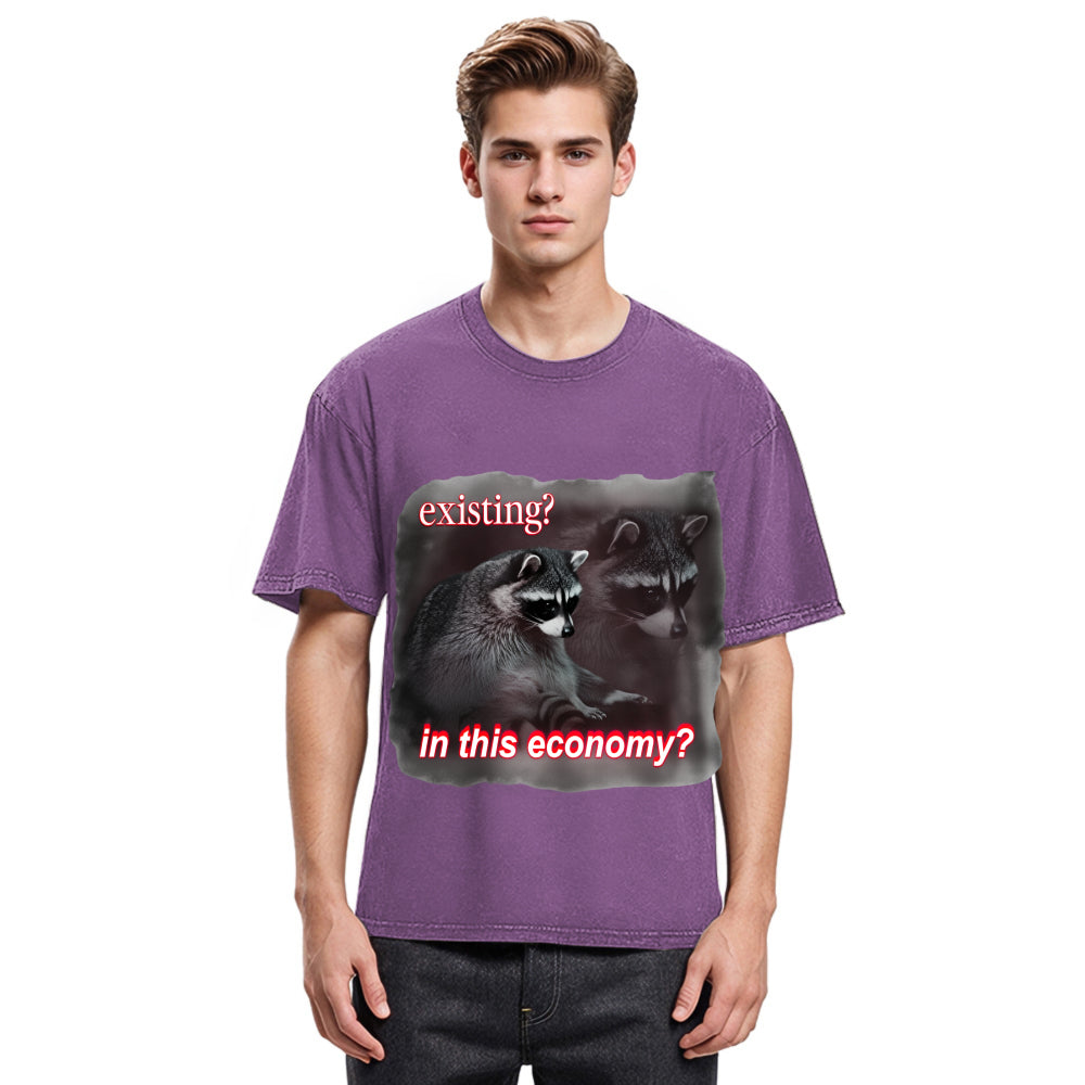 Tokyosol Economy Raccoon Meme Washed T Shirt