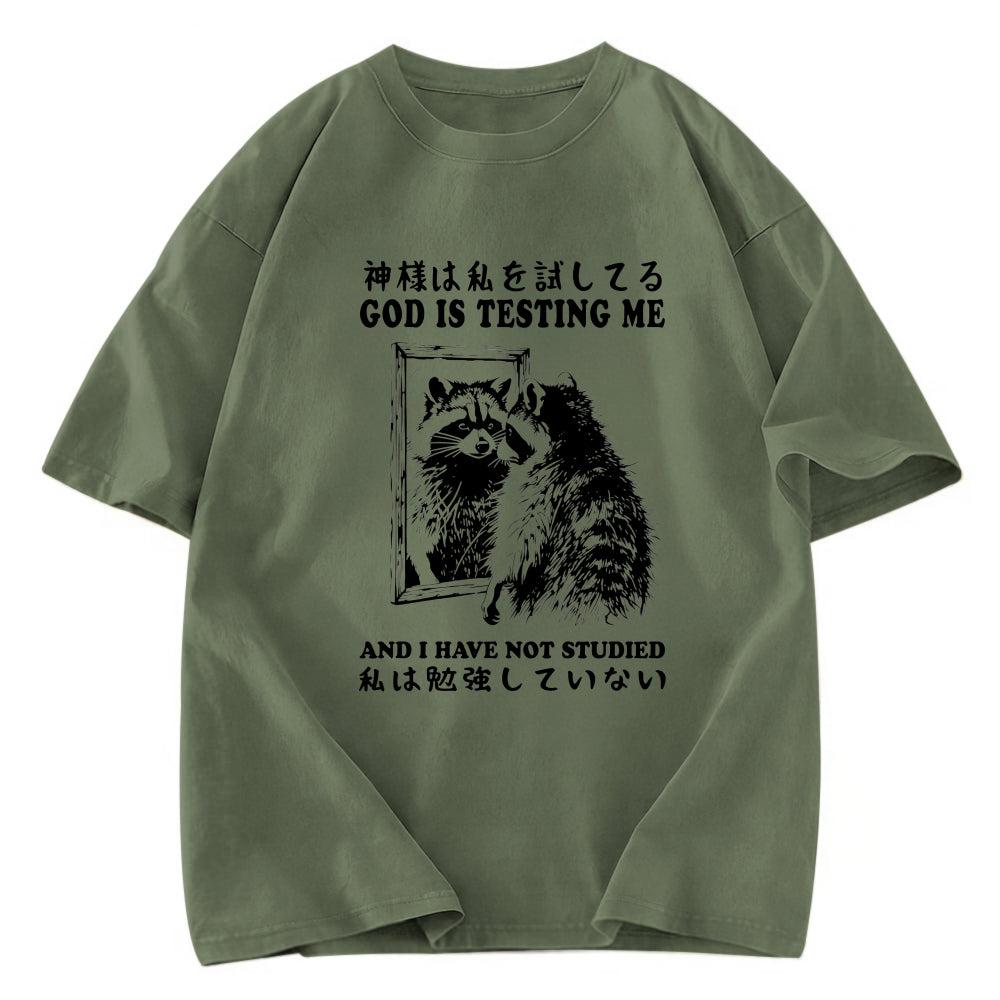 Tokyosol Raccoon Not Studied Classic T Shirt