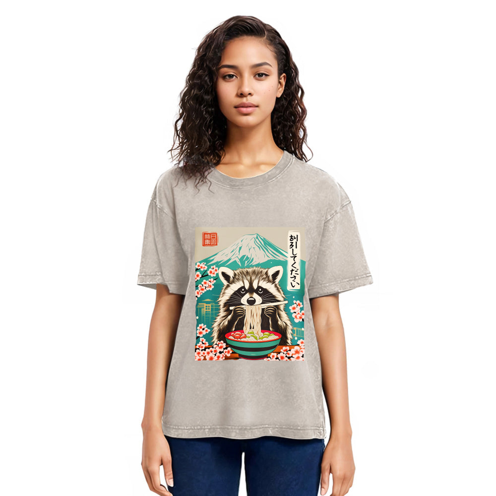 Tokyosol Please Give Raccoon A Discount Washed T Shirt