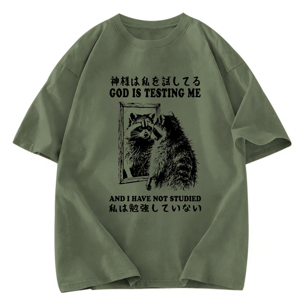 Tokyosol Raccoon Not Studied Washed T Shirt
