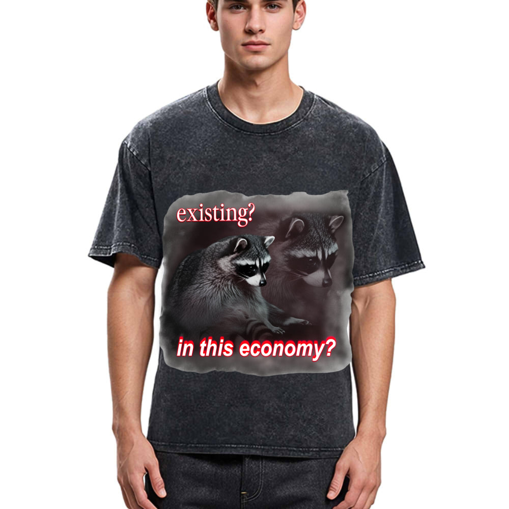Tokyosol Economy Raccoon Meme Washed T Shirt
