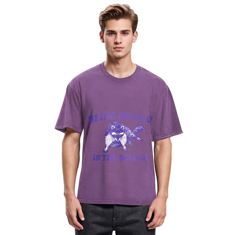 Tokyosol Funny Delusional Raccoon Washed T Shirt