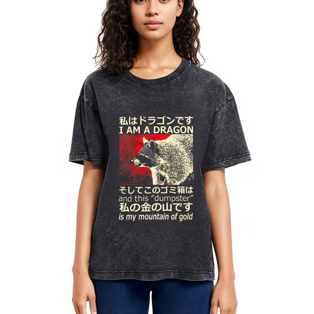 Tokyosol I M A Dragon And This Dumpster Is My Mountain Of Gold Washed T Shirt