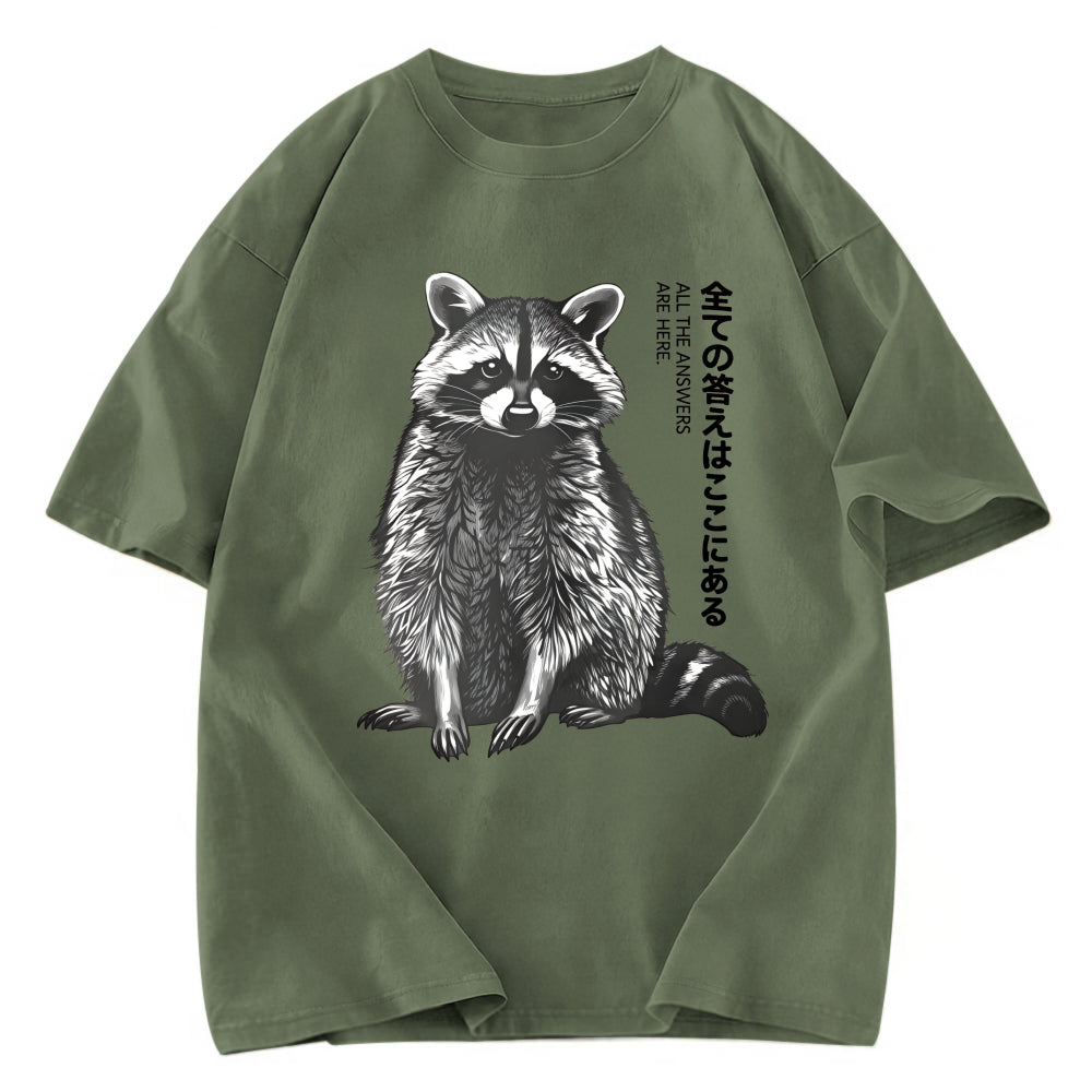 Tokyosol Funny Kawaii Raccoon Washed T Shirt