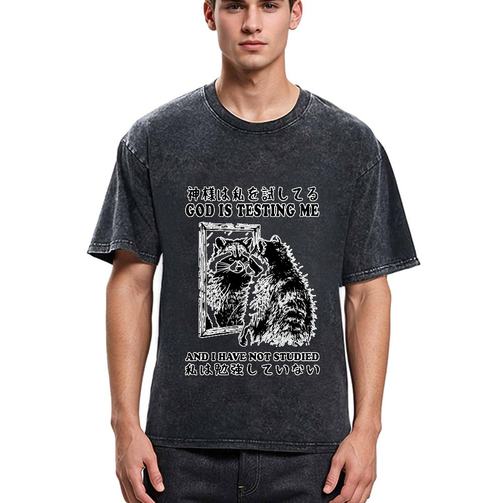 Tokyosol Raccoon Not Studied Classic T Shirt