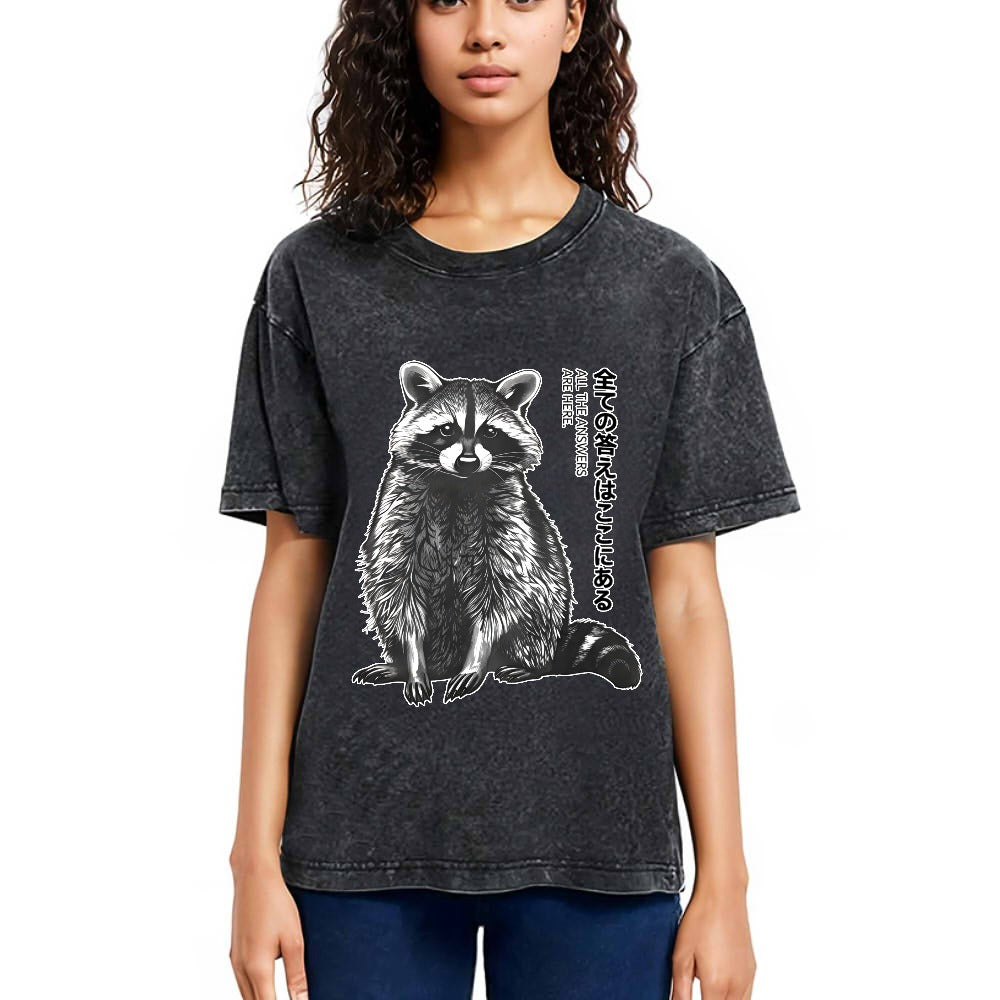 Tokyosol Funny Kawaii Raccoon Washed T Shirt