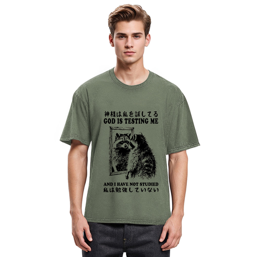 Tokyosol Raccoon Not Studied Washed T Shirt