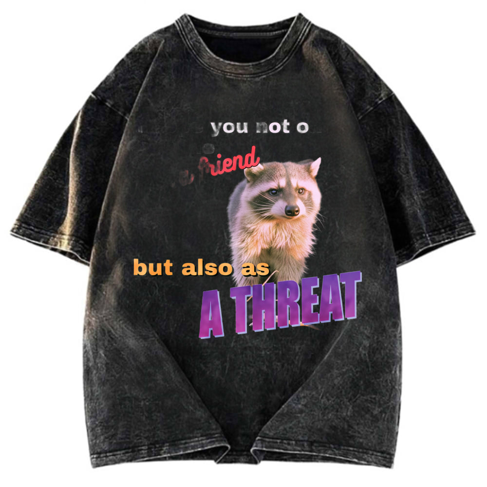 Tokyosol Viral Raccoon Meme Washed T Shirt