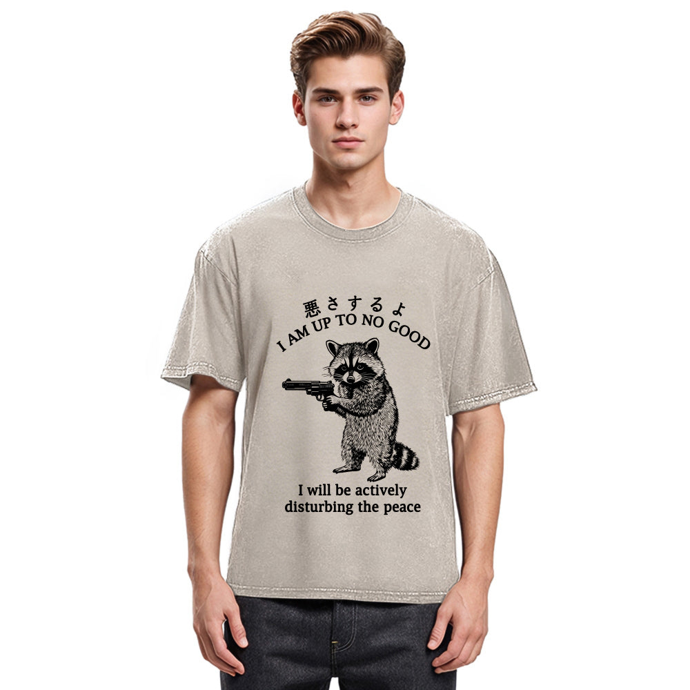 Tokyosol Raccoon Disturbing The Peace Washed T Shirt