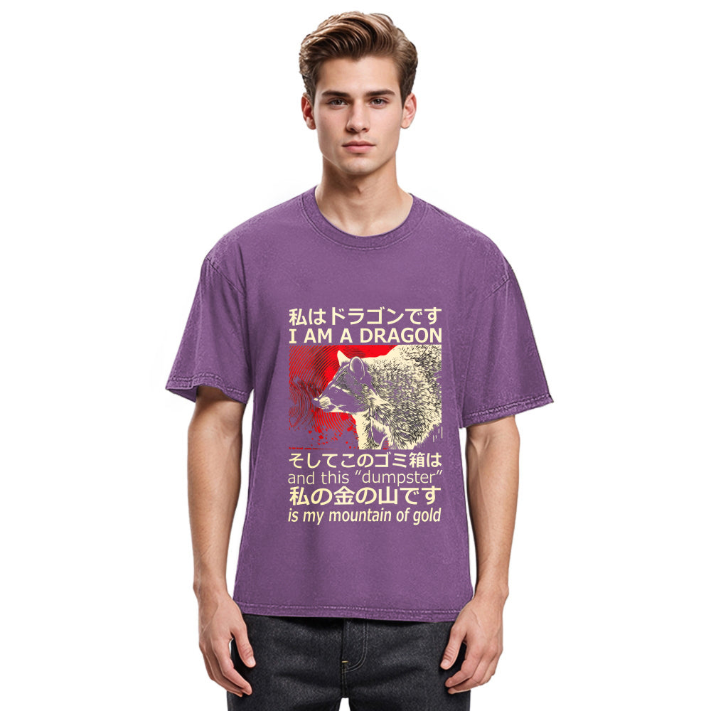 Tokyosol I M A Dragon And This Dumpster Is My Mountain Of Gold Washed T Shirt