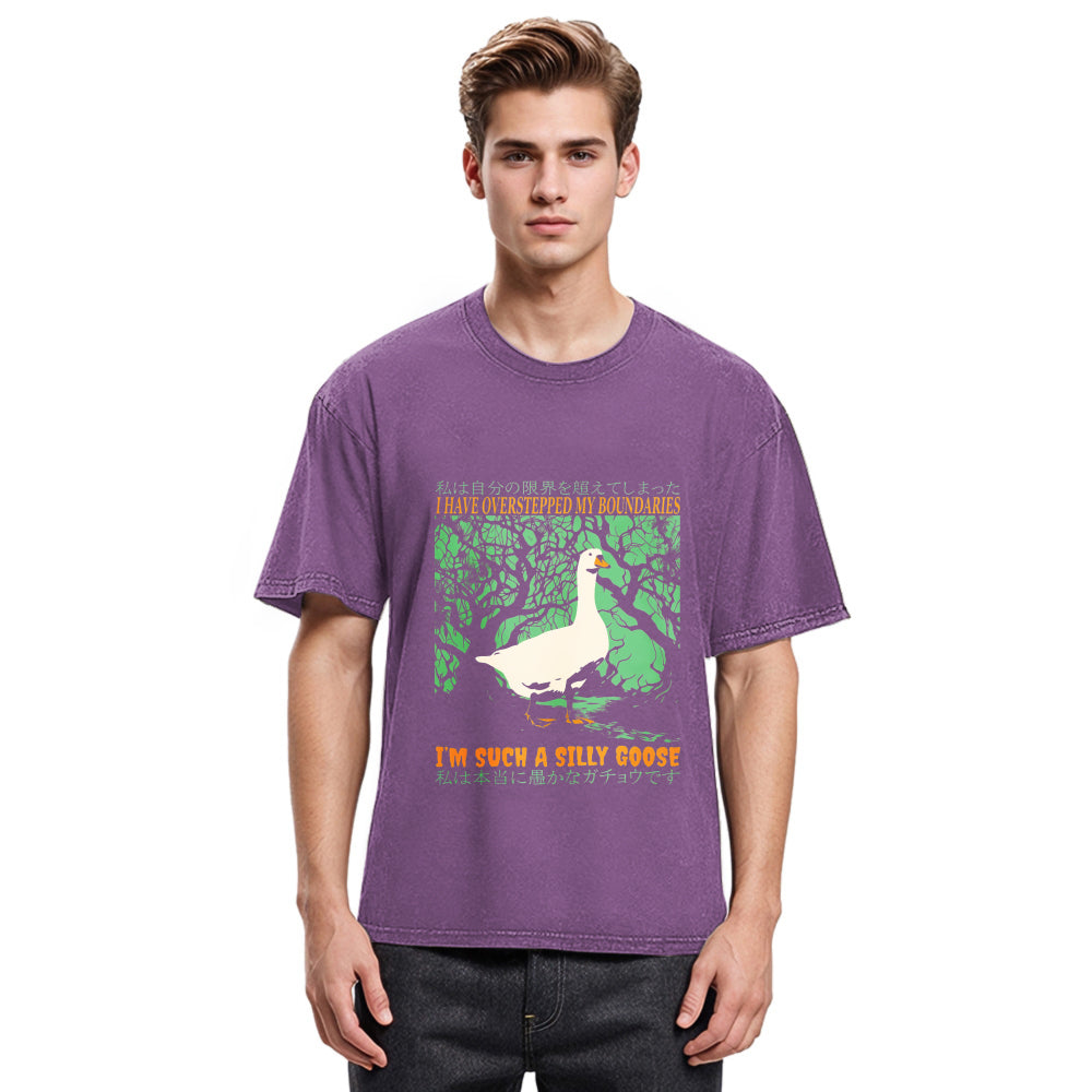 Tokyosol I_M Such A Silly Goose Classic T Shirt