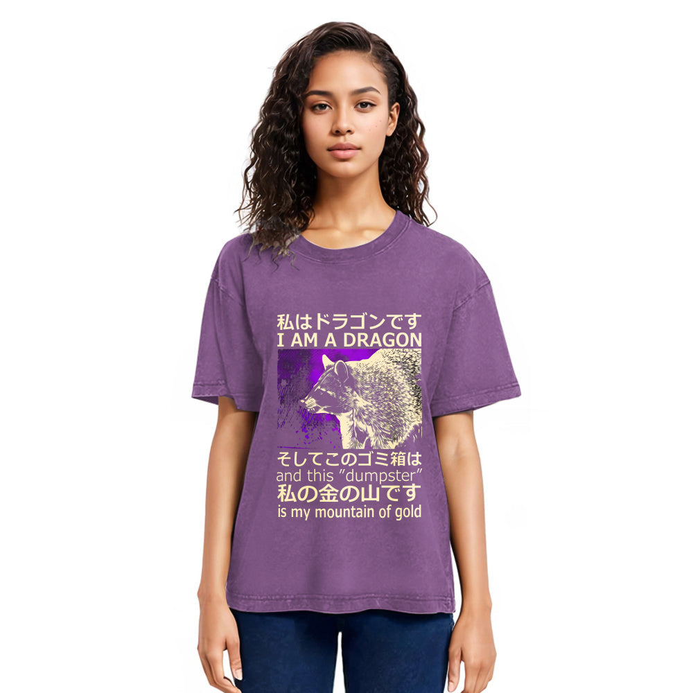 Tokyosol I Am A Dragon And This Dumpster Is My Mountain Of Gold Washed T Shirt