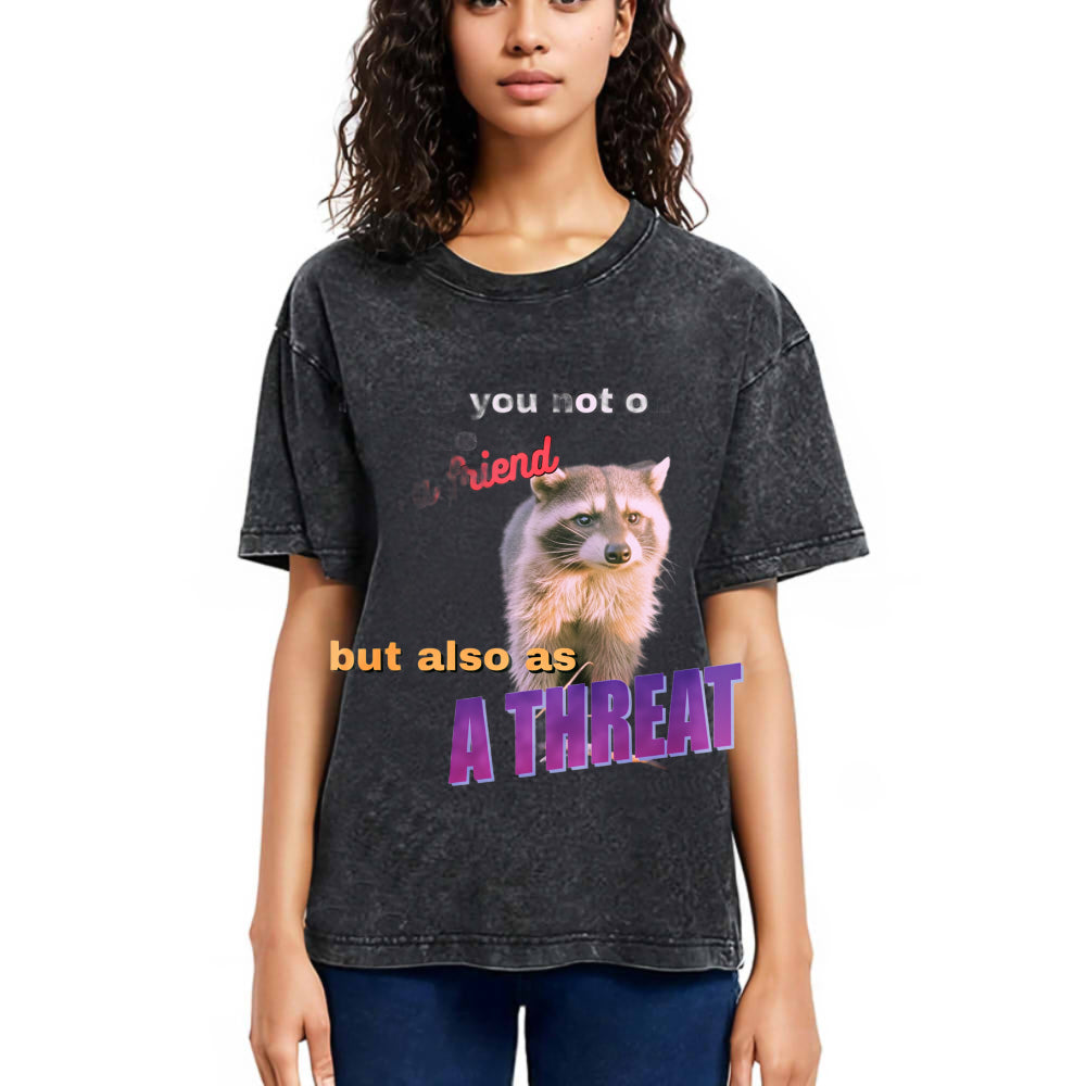 Tokyosol Viral Raccoon Meme Washed T Shirt