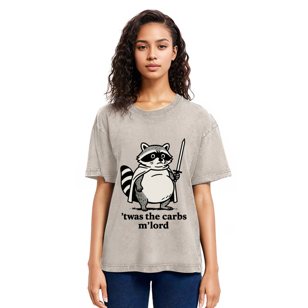 Tokyosol Fat Raccoon Sword Humor Washed T Shirt